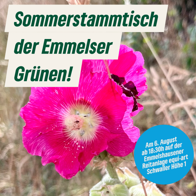 Zu Gast auf der schönsten Terrasse von Emmelshausen
